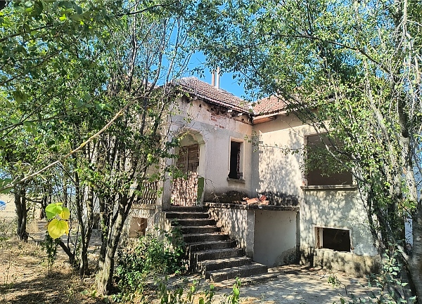 old-rural-house-with-vast-yard-and-quiet-location-in-proximity-to-pine-forest-and-lake