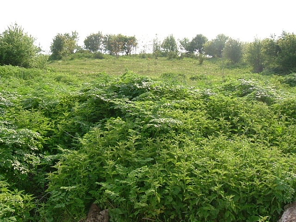 plot-of-land-with-nice-panoramic-views-situated-in-a-village-with-mineral-water-springs-80-km-away-from-varna-bulgaria