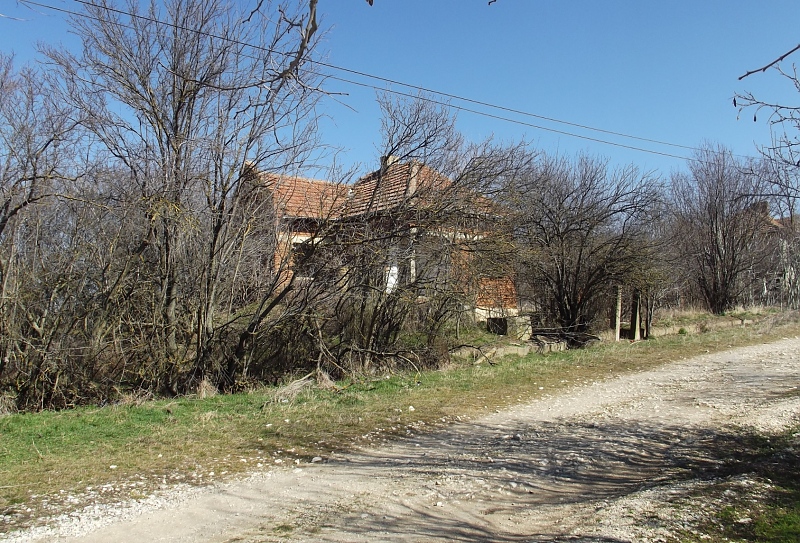 picture