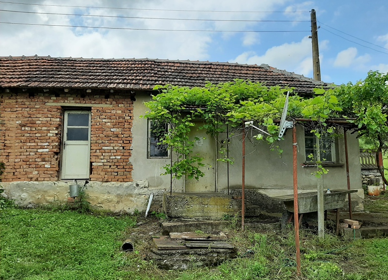 picture