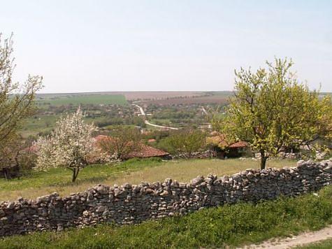 picture