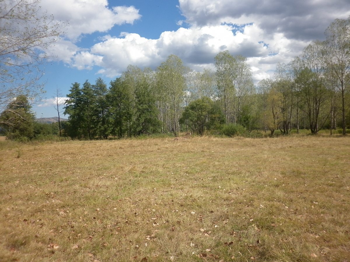 /nice-land-with-mineral-water-spring-and-great-views-near-spa-resort/