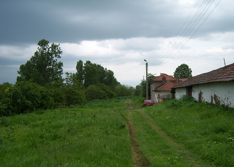 picture