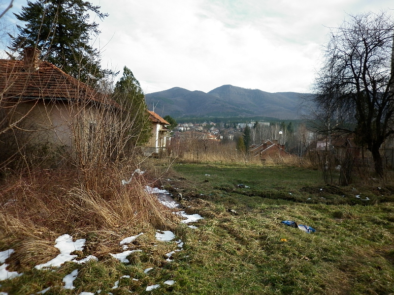 picture