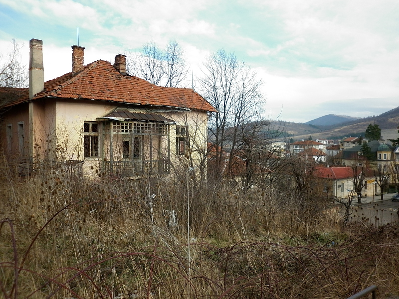 picture
