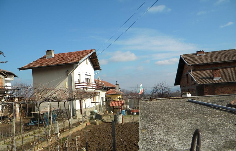 picture