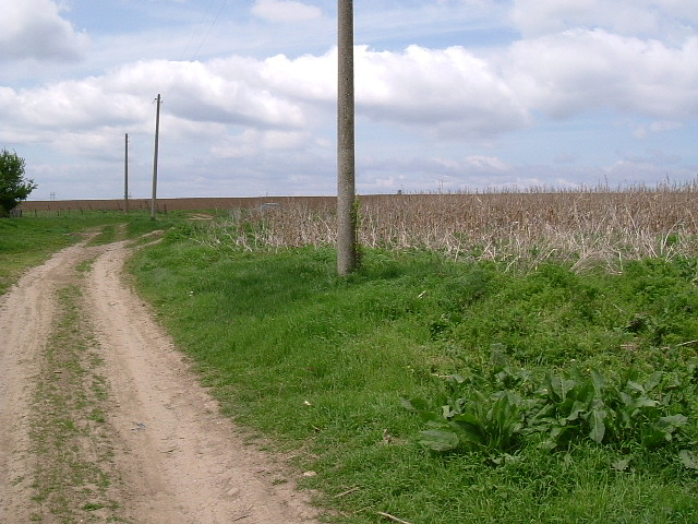 picture