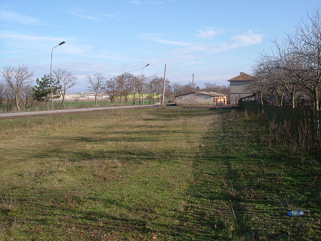 picture