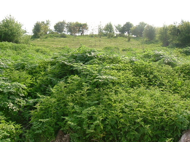 /plot-of-land-with-nice-panoramic-views-situated-in-a-village-with-mineral-water-springs-80-km-away-from-varna-bulgaria/