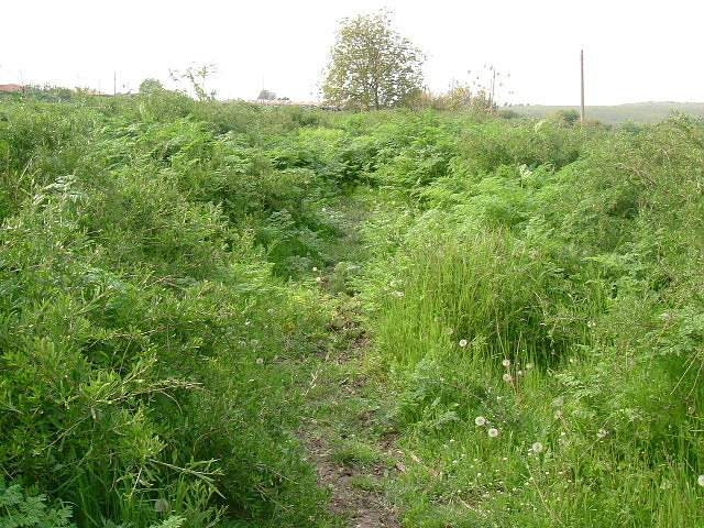 picture