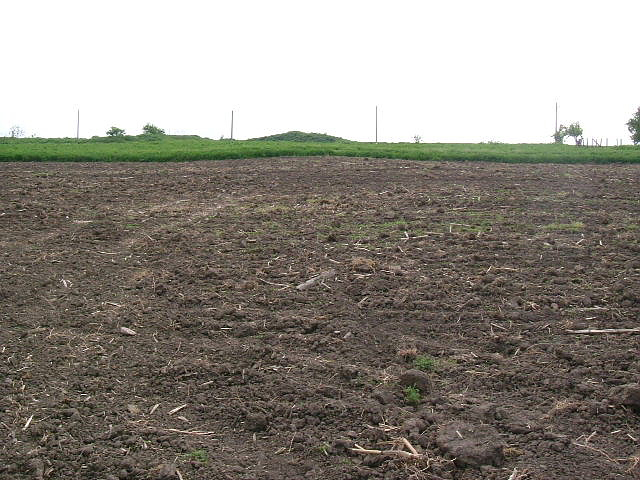 /spacious-plot-of-land-suitable-for-construction-situated-in-a-village-with-mineral-water-springs-80-km-away-from-varna-bulgaria/