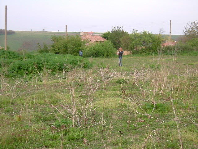 picture