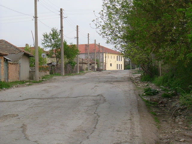 picture