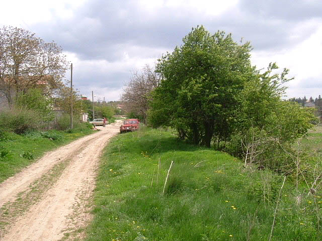 picture