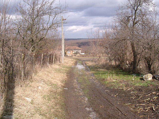 picture