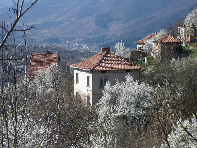 picture