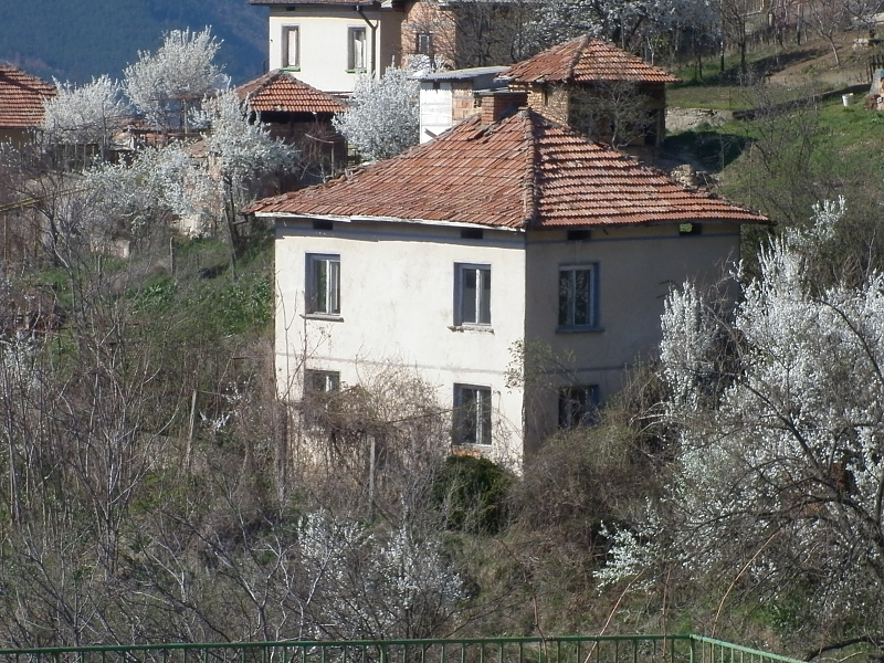 picture
