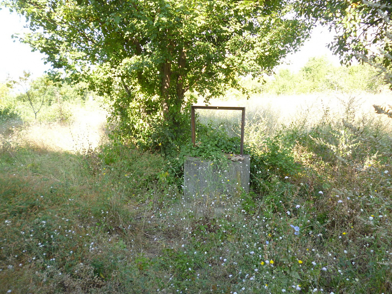 picture