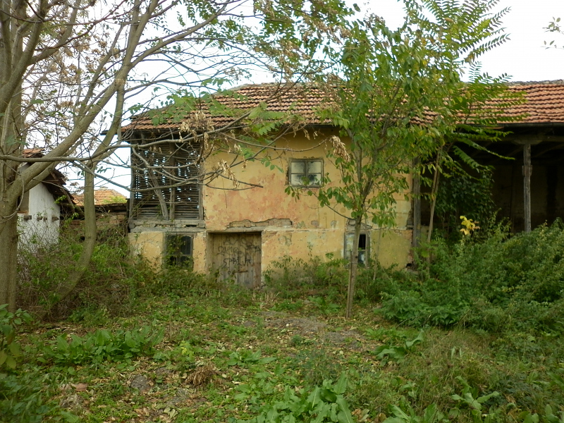 picture