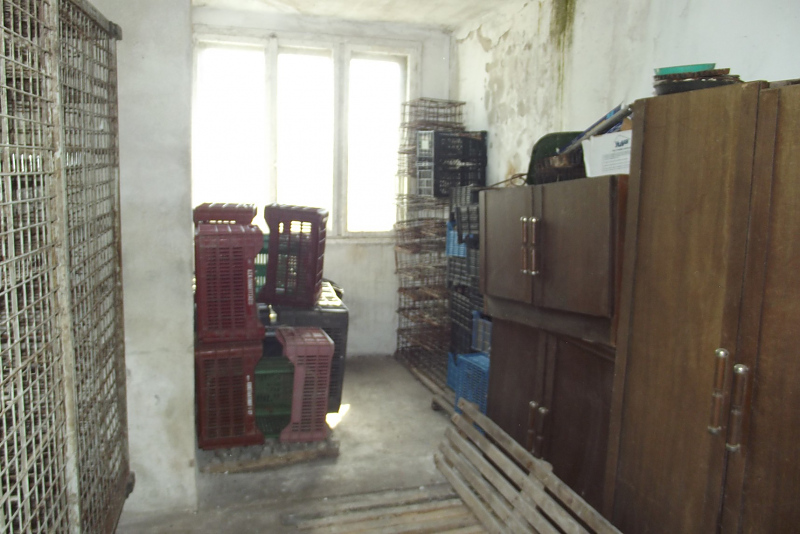 picture