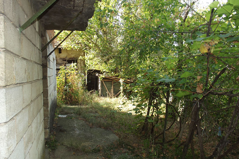 picture